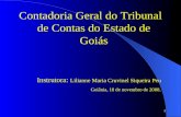 1 Contadoria Geral do Tribunal de Contas do Estado de Goiás Instrutora: Lilianne Maria Cruvinel Siqueira Peu Goiânia, 18 de novembro de 2008.