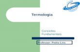 Termologia Conceitos Fundamentais. Professor: Pedro Lins.