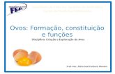 Ovos: Formação, constituição e funções Disciplina: Criação e Exploração de Aves Prof. Msc. Alício José Corbucci Moreira.