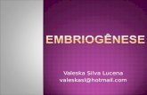 Valeska Silva Lucena valeskasl@hotmail.com.  É o processo através do qual o embrião é formado e se desenvolve. Começa no momento da fertilização do óvulo,