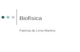 Biofísica Patrícia de Lima Martins. 1. Conceito É uma ciência interdisciplinar que aplica as teorias, a metodologia, conhecimentos e tecnologias da.