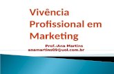 Prof.:Ana Martins anamartins09@uol.com.br Vivência Profissional em Marketing.