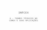 INTCEX 6 – TERMOS TÉCNICOS NO COMEX E SUAS APLICAÇÕES.