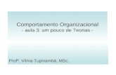 Comportamento Organizacional - aula 3: um pouco de Teorias - Profª. Vilma Tupinambá, MSc.
