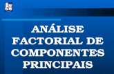 ANÁLISE FACTORIAL DE COMPONENTES PRINCIPAIS. Análise Factorial de Componentes Principais A análise factorial é um nome genérico para uma classe de procedimentos.