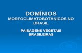 DOMÍNIOS MORFOCLIMATOBOTÂNICOS NO BRASIL PAISAGENS VEGETAIS BRASILEIRAS.