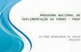 PROGRAMA NACIONAL DE SUPLEMENTAÇÃO DE FERRO - PNSF JULIANE BERENGUER DE SOUZA PEIXOTO.