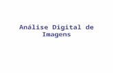 Análise Digital de Imagens Disciplina de Fotointerpretação Nelson W. Dias, PhD UNITAU – Ciências Agrárias.