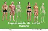 Organização do corpo humano. O corpo humano como um sistema O corpo humano é um sistema, ou seja, tem um conjunto de componentes que se relacionam e permitem.