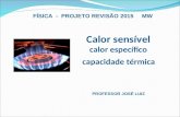 Calor sensível calor específico capacidade térmica FÍSICA - PROJETO REVISÃO 2015 MW PROFESSOR JOSÉ LUIZ.