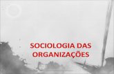 Profª Agostinha Mafalda Barra de Oliveira. Geral: Possibilitar aos graduandos em Engenharia de Produção analisar as organizações com uma perspectiva sociológica.