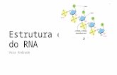 Estrutura e função do RNA Vera Andrade. Ácido ribonucléico (RNA) Dos 30.000 genes ≈ 27.000 genes codificadores de proteínas ≈ 3.000 genes codificadores.