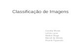 Classificação de Imagens Carolina Morais Letícia Lopes Maílson Braga Marcell da Silveira Ricardo Figueiredo.