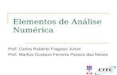 Elementos de Análise Numérica Prof. Carlos Ruberto Fragoso Júnior Prof. Marllus Gustavo Ferreira Passos das Neves.