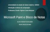 Microsoft Paint e Bloco de Notas ELANA TAWANE PUCHOLOBEK RUAN CARLOS DA MAIA Universidade do estado de Santa Catarina- UDESC Introdução à ciência da computação.