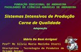 Sistemas Intensivos de Produção Carne de Qualidade Adaptação Mário De Beni Arrigoni Profª Ms Sílvia Maria Marinho Storti Disciplina : Tecnologia de Produtos.