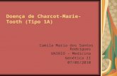 Doença de Charcot-Marie-Tooth (Tipo 1A) Camila Maria dos Santos Rodrigues UNIRIO – Medicina Genética II 07/06/2010.
