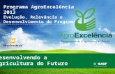 Programa AgroExcelência 2013 Evolução, Relevância e Desenvolvimento do Programa Desenvolvendo a Agricultura do Futuro 1.