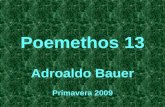 Poemethos 13 Adroaldo Bauer Primavera 2009. sinto mais do que adivinhas Tal canção de desamor arremeda velho jornal sem emoção qualquer, a querência despetalada.