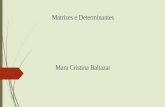 Matrizes e Determinantes Mara Cristina Baltazar. Problematização.