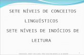 SETE NÍVEIS DE CONCEITOS LINGUÍSTICOS SETE NÍVEIS DE INDÍCIOS DE LEITURA 1 PEDAGOGIA - UNESP - RIO CLARO - PROF. DOUTORA MARIA A. H. W. RIBEIRO.