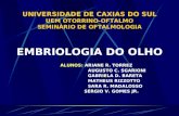 UNIVERSIDADE DE CAXIAS DO SUL UEM OTORRINO-OFTALMO SEMINÁRIO DE OFTALMOLOGIA EMBRIOLOGIA DO OLHO ALUNOS: ARIANE R. TORREZ AUGUSTO C. SGARIONI GABRIELA.