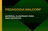 PEDAGOGIA WALDORF MATERIAL ELABORADO PARA FINS DIDÁTICOS.