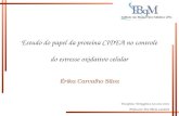 Érika Carvalho Silva Disciplina: Termogênese nos seres vivos Professora: Ana Maria Landeira Estudo do papel da proteína CIDEA no controle do estresse oxidativo.