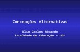 Concepções Alternativas Elio Carlos Ricardo Faculdade de Educação – USP.
