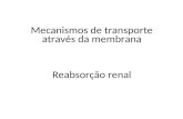 Mecanismos de transporte através da membrana Reabsorção renal.