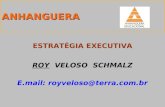 ANHANGUERA ESTRATÉGIA EXECUTIVA ROY VELOSO SCHMALZ E.mail: royveloso@terra.com.br.