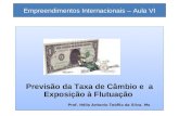 Empreendimentos Internacionais – Aula VI Previsão da Taxa de Câmbio e a Exposição à Flutuação Prof. Hélio Antonio Teófilo da Silva. Ms Previsão da Taxa.