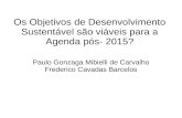 Os Objetivos de Desenvolvimento Sustentável são viáveis para a Agenda pós- 2015? Paulo Gonzaga Mibielli de Carvalho Frederico Cavadas Barcelos.