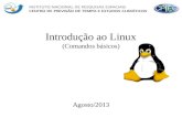 Introdução ao Linux (Comandos básicos) Agosto/2013.