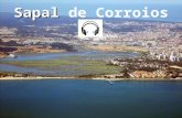 Sapal de Corroios O Sapal de Corroios, no concelho do Seixal, é a zona húmida mais bem conservada de todo o estuário doTejo.