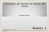 Modulo 2 Sistemas de Gestão De Bases de Dados A Professora: Vanda Pereira Consultas.