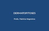 DERMATOFITOSES Profa. Patrícia Negreiros. Dermatofitoses São micoses causadas por fungos conhecidos como dermatófitos, adaptados à infecção superficial.