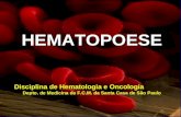 HEMATOPOESE Disciplina de Hematologia e Oncologia Depto. de Medicina da F.C.M. da Santa Casa de São Paulo.