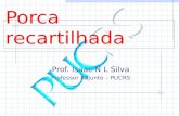 Porca recartilhada Prof. Isaac N L Silva Professor Adjunto – PUCRS.