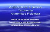 Aqüicultura e pesca Taxonomia Anatomia e Fisiologia Daniel de Almeida Balthazar Zootecnista e Médico veterinário Universidade Castelo Branco.