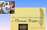Artigo 1.º Todos os seres humanos nascem livres e iguais em dignidade e em direitos. Dotados de razão e de consciência, devem agir uns para com os outros.
