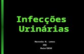 Infecções Urinárias Marcelo M. Lemos FMC Maio/2010.