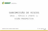 S UBCOMISSÃO DE R ISCOS ORSA – T ÓPICO 4 (P ARTE 1) V ISÃO P ROSPECTIVA 27 de agosto de 2015 SUSEP/DITEC/CGSOA/COARI/DIRIS.
