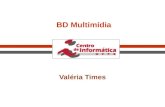 BD Multimídia Valéria Times. 10/31/2015 © CIn/UFPE2 Tratamento de Dados Multimídia.