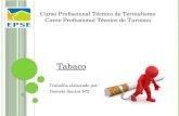 Tabaco Trabalho elaborado por: Daniela Santos Nº2 Curso Profissional Técnico de Termalismo Curso Profissional Técnico de Turismo.