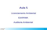 Aula 5 Licenciamento Ambiental EIA/RIMA Auditoria Ambiental Aula 5