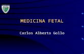MEDICINA FETAL Carlos Alberto Gollo. A Medicina Fetal representa um conjunto de ações de finalidades preventivas, diagnósticas e terapêuticas, no sentido.