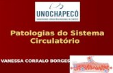 Patologias do Sistema Circulatório VANESSA CORRALO BORGES.