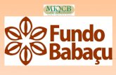 FUNDO BABAÇU Criado por MIQCB- Movimento Interestadual das Quebradeiras de Coco Babaçu Recursos na Criação Fundação FORD Orientação na criação.Fundo DEMA.