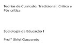 Teorias de Curriculo: Tradicional, Critica e Pós crítica Sociologia da Educação I Profª Sirlei Gaspareto.